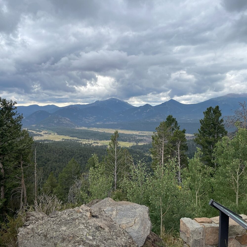 Meet your Posher, Lexi